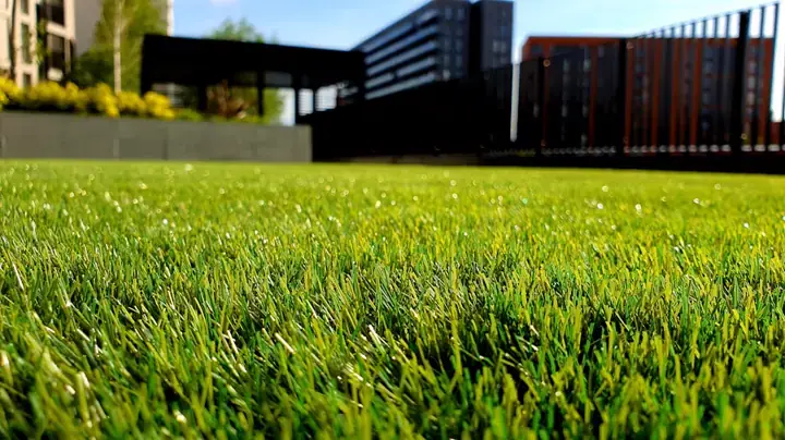 Professional landscaping and lawn mowing